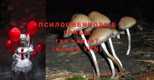 герыч Новозыбков