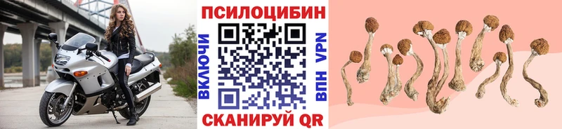 Псилоцибиновые грибы GOLDEN TEACHER  Нижний Тагил 